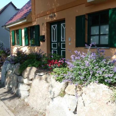 Ferienwohnung Thum Wustrow  Bagian luar foto